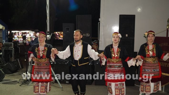 www.alexandriamou.gr_vrisaki_21.6.25DSC02867