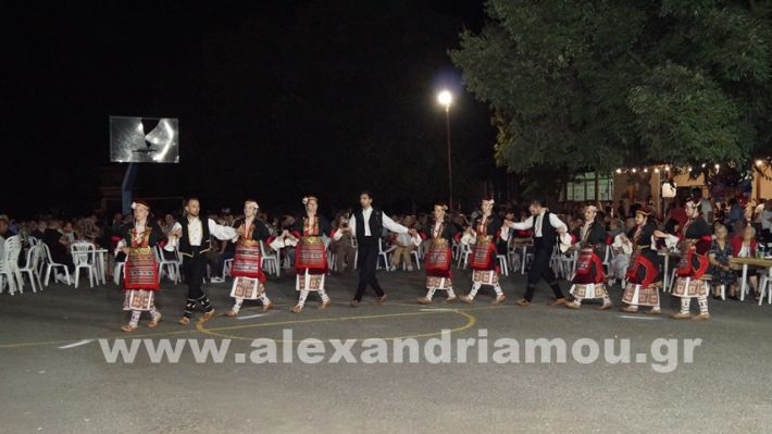 www.alexandriamou.gr_vrisaki_21.6.25DSC02871