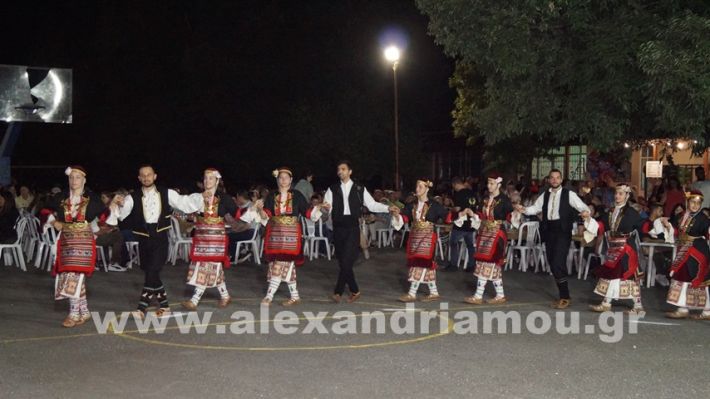 www.alexandriamou.gr_vrisaki_21.6.25DSC02873