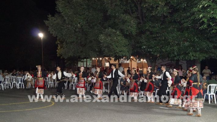 www.alexandriamou.gr_vrisaki_21.6.25DSC02877