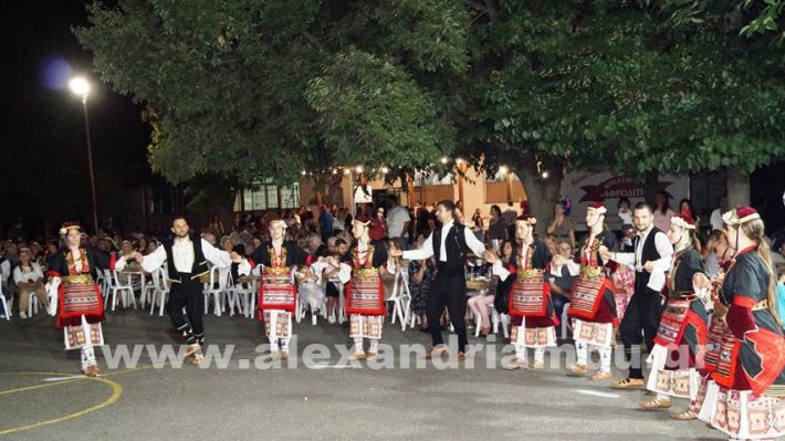 www.alexandriamou.gr_vrisaki_21.6.25DSC02882