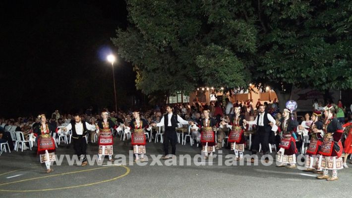 www.alexandriamou.gr_vrisaki_21.6.25DSC02883