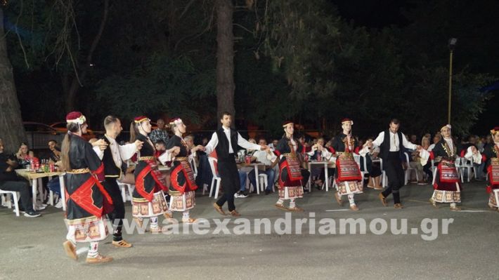 www.alexandriamou.gr_vrisaki_21.6.25DSC02888