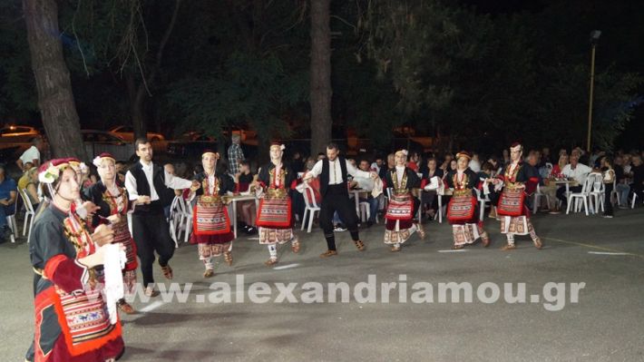 www.alexandriamou.gr_vrisaki_21.6.25DSC02889