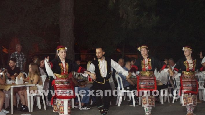 www.alexandriamou.gr_vrisaki_21.6.25DSC02892
