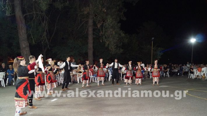 www.alexandriamou.gr_vrisaki_21.6.25DSC02893