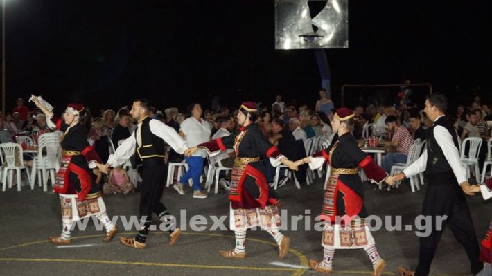 www.alexandriamou.gr_vrisaki_21.6.25DSC02895