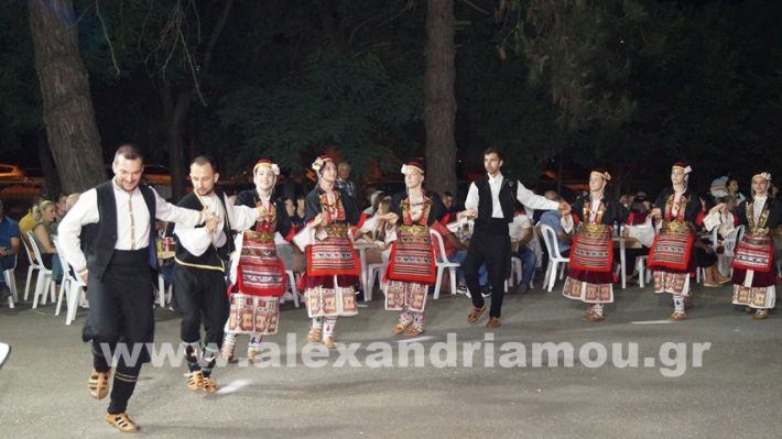 www.alexandriamou.gr_vrisaki_21.6.25DSC02904
