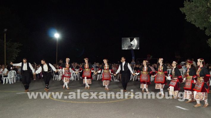 www.alexandriamou.gr_vrisaki_21.6.25DSC02908