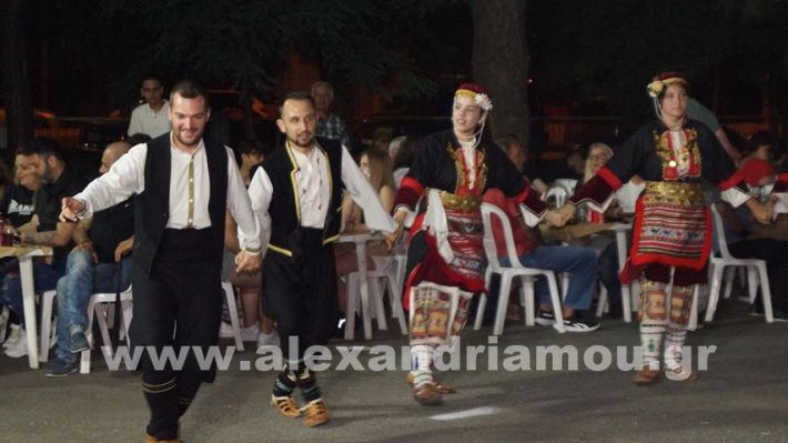 www.alexandriamou.gr_vrisaki_21.6.25DSC02910