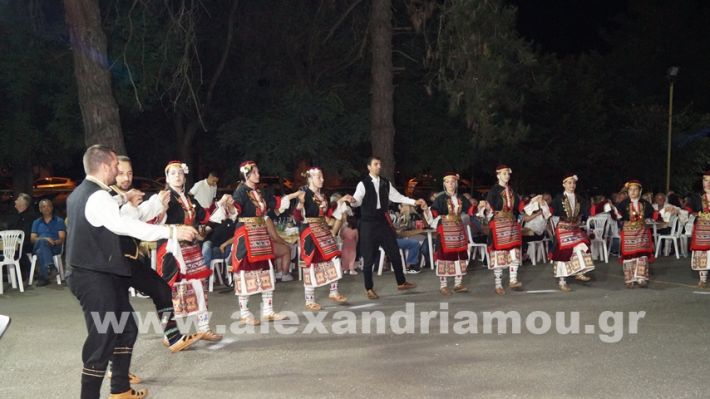 www.alexandriamou.gr_vrisaki_21.6.25DSC02911