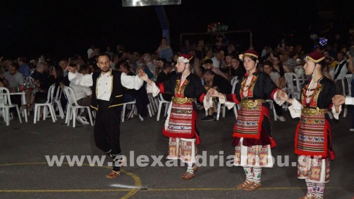 www.alexandriamou.gr_vrisaki_21.6.25DSC02914