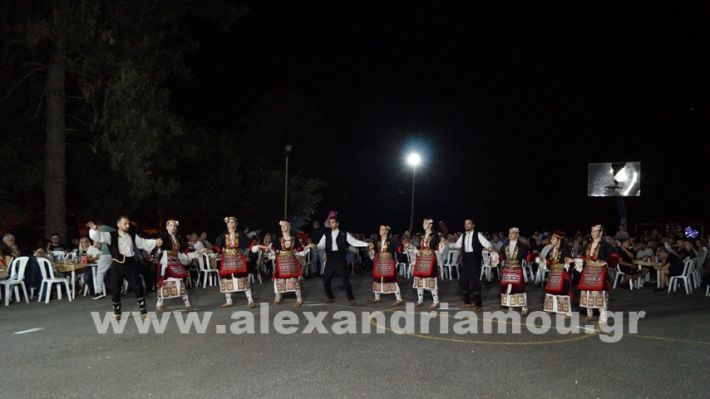 www.alexandriamou.gr_vrisaki_21.6.25DSC02915