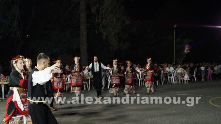 www.alexandriamou.gr_vrisaki_21.6.25DSC02917