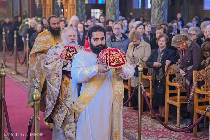 55174650308_9b7e6c9a86_c