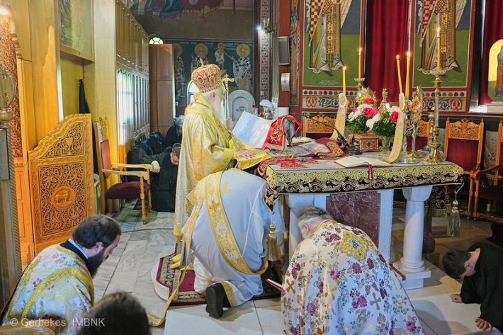 55174684263_fed98a9158_c