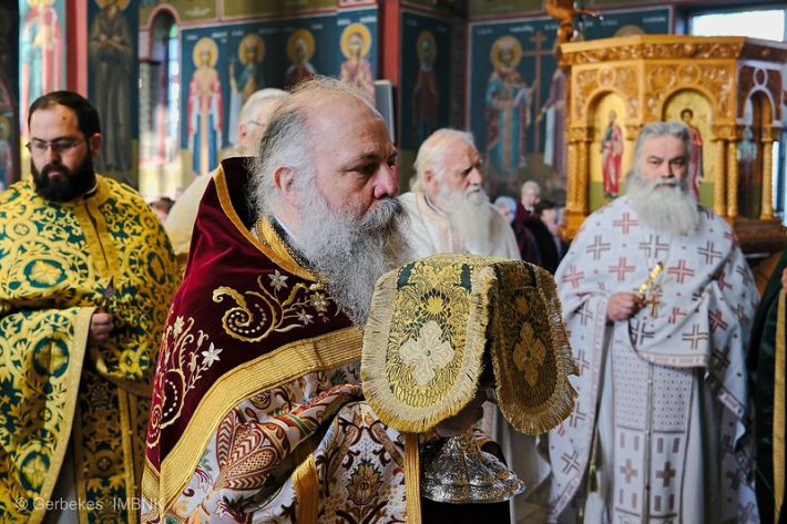 54959353615_255ecfb908_c