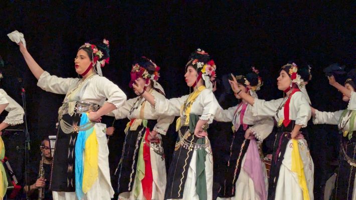 PXL_20260415_182447392.MP