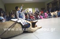 alexandriamou_zoes_lonap01