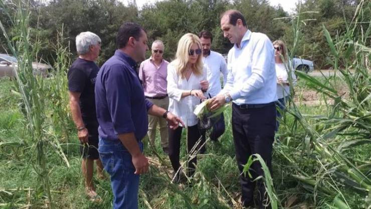 Βεσυρόπουλος: &quot;Ενισχύεται ο ΕΛΓΑ στην Ημαθία με ακόμη 35 γεωπόνους για την εκτίμηση των ζημιών&quot;