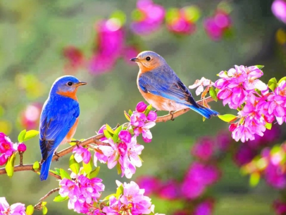 &Epsilon;&alpha;&rho;&iota;&nu;ή &iota;&sigma;&eta;&mu;&epsilon;&rho;ί&alpha; &tau;&eta;&nu; &Delta;&epsilon;&upsilon;&tau;έ&rho;&alpha; 20 &Mu;&alpha;&rho;&tau;ί&omicron;&upsilon; - &Epsilon;&pi;ί&sigma;&eta;&mu;&alpha; &eta; Ά&nu;&omicron;&iota;&xi;&eta;