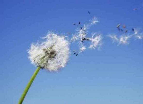 Ισχυροί άνεμοι και 35αρια το σκηνικό του καιρού