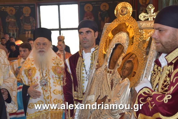 Αλεξάνδρεια:Με λαμπρότητα η Υποδοχή της Εικόνας της Παναγίας της Γαλιλαίας (Φώτο - βίντεο)
