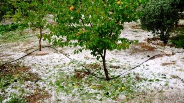 Ανακοινώθηκαν τα Πορίσματα εκτίμησης ζημιών για το χαλάζι της 29ης Απριλίου 2020 στην τ.κ. Κεφαλοχωρίου