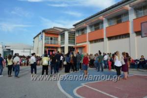 Οι σύλλογοι Γονέων και Κηδεμόνων των Δημοτικών σχολείων Αλεξάνδρειας ζητούν τη νυχτερινή φύλαξη των σχολείων από το Δήμο