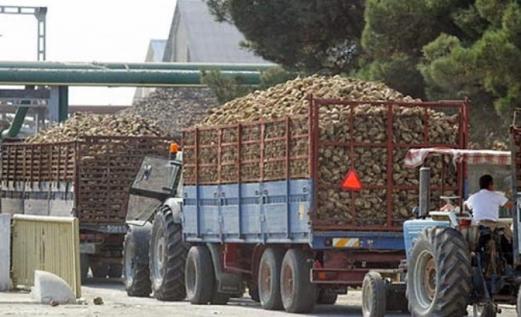 Λευκός καπνός στην ΕΒΖ - Στο επόμενο 10ήμερο ένα εκ. ευρώ στους τευτλοπαραγωγούς - Ολοσχερής εξώφληση έως  30/1/2017