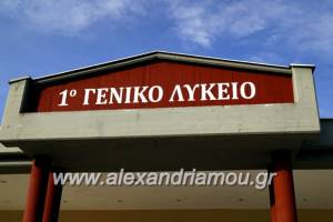 Το 1ο Γενικό Λύκειο Αλεξάνδρειας ευχαριστεί