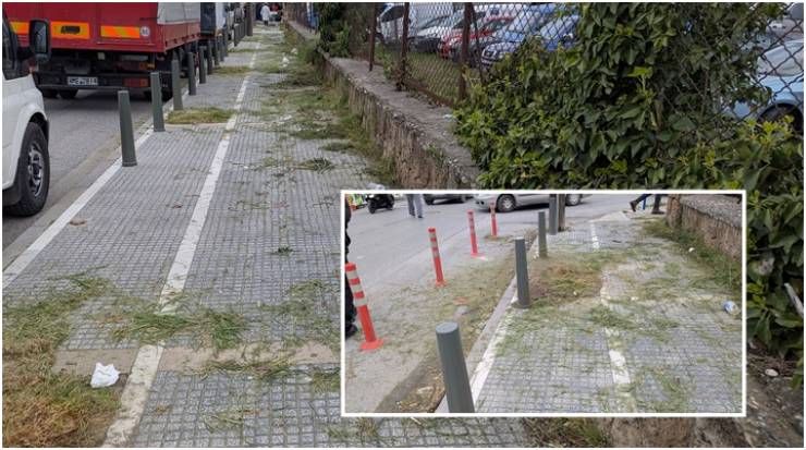 &Sigma;ά&beta;&beta;&alpha;&tau;&omicron; &sigma;&tau;&eta; &Lambda;&alpha;ϊ&kappa;ή &alpha;&gamma;&omicron;&rho;ά &Alpha;&lambda;&epsilon;&xi;ά&nu;&delta;&rho;&epsilon;&iota;&alpha;&sigmaf;: &Epsilon;&iota;&kappa;ό&nu;&epsilon;&sigmaf; &nu;&tau;&rho;&omicron;&pi;ή&sigmaf; &alpha;&nu;&tau;ί &gamma;&iota;&alpha; &kappa;&alpha;&theta;&alpha;&rho;&iota;ό&tau;&eta;&tau;&alpha;