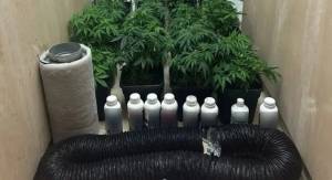 Εγκληματική οργάνωση–μαμούθ εξαρθρώθηκε: Απάτες σε όλη τη χώρα και λεία 7,6 εκατ. ευρώ