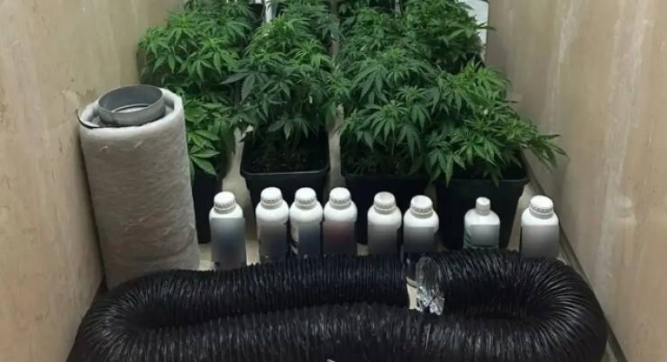 Εγκληματική οργάνωση–μαμούθ εξαρθρώθηκε: Απάτες σε όλη τη χώρα και λεία 7,6 εκατ. ευρώ