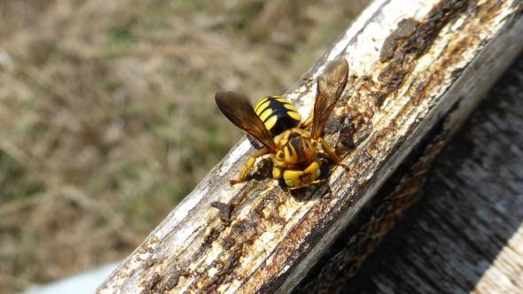 &Pi;.&Epsilon; &Eta;&mu;&alpha;&theta;ί&alpha;&sigmaf;: &Epsilon;&gamma;&kappa;ύ&kappa;&lambda;&iota;&omicron;&sigmaf;  &tau;&rho;&omicron;&pi;&omicron;&pi;&omicron;&iota;ή&sigma;&epsilon;&omega;&nu; &ndash; &mu;&epsilon;&tau;&alpha;&beta;&iota;&beta;ά&sigma;&epsilon;&omega;&nu; &ndash; &alpha;&pi;έ&nu;&tau;&alpha;&xi;&eta;&sigmaf; &sigma;&tau;&omicron; &pi;&lambda;&alpha;ί&sigma;&iota;&omicron; &tau;&eta;&sigmaf; &delta;&rho;ά&sigma;&eta;&sigmaf; 10.1.08 &laquo;&Epsilon;&phi;&alpha;&rho;&mu;&omicron;&gamma;ή &tau;&eta;&sigmaf; &mu;&epsilon;&theta;ό&delta;&omicron;&upsilon; &sigma;&epsilon;&xi;&omicron;&upsilon;&alpha;&lambda;&iota;&kappa;ή&sigmaf; &sigma;ύ&gamma;&chi;&upsilon;&sigma;&eta;&sigmaf; &tau;&omega;&nu; &mu;&iota;&kappa;&rho;&omicron;&lambda;&epsilon;&pi;&iota;&delta;&omicron;&pi;&tau;έ&rho;&omega;&nu; (&Kappa;&Omicron;&Mu;&Phi;&Omicron;&Upsilon;&Zeta;&Iota;&Omicron;)&raquo; &tau;&omicron;&upsilon; &Mu;έ&tau;&rho;&omicron;&upsilon; 10 &tau;&omicron;&upsilon; &Pi;&Alpha;&Alpha; 2014-2020