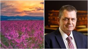 &Omicron; &Kappa;ώ&sigma;&tau;&alpha;&sigmaf; &Kappa;&alpha;&lambda;&alpha;ϊ&tau;&zeta;ί&delta;&eta;&sigmaf; &epsilon;&upsilon;&chi;&alpha;&rho;&iota;&sigma;&tau;&epsilon;ί &gamma;&iota;&alpha; &tau;&eta; &Sigma;&upsilon;&lambda;&lambda;&omicron;&gamma;&iota;&kappa;ή &Epsilon;&pi;&iota;&tau;&upsilon;&chi;ί&alpha; &Tau;&omicron;&upsilon;&rho;&iota;&sigma;&tau;&iota;&kappa;ή&sigmaf; &Pi;&rho;&omicron;&beta;&omicron;&lambda;ή&sigmaf; &tau;&eta;&sigmaf; &Eta;&mu;&alpha;&theta;ί&alpha;&sigmaf;