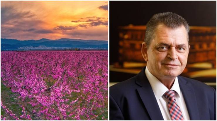 &Omicron; &Kappa;ώ&sigma;&tau;&alpha;&sigmaf; &Kappa;&alpha;&lambda;&alpha;ϊ&tau;&zeta;ί&delta;&eta;&sigmaf; &epsilon;&upsilon;&chi;&alpha;&rho;&iota;&sigma;&tau;&epsilon;ί &gamma;&iota;&alpha; &tau;&eta; &Sigma;&upsilon;&lambda;&lambda;&omicron;&gamma;&iota;&kappa;ή &Epsilon;&pi;&iota;&tau;&upsilon;&chi;ί&alpha; &Tau;&omicron;&upsilon;&rho;&iota;&sigma;&tau;&iota;&kappa;ή&sigmaf; &Pi;&rho;&omicron;&beta;&omicron;&lambda;ή&sigmaf; &tau;&eta;&sigmaf; &Eta;&mu;&alpha;&theta;ί&alpha;&sigmaf;