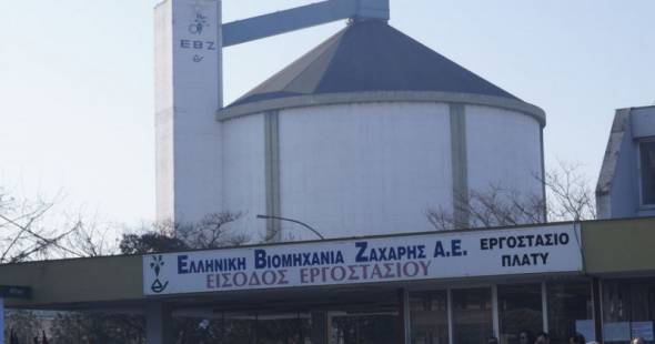 Οι διαπραγματεύσεις της ΕΒΖ με την Royal Sugar, για την πώληση ζάχαρης και την απευθείας πληρωμή των τευτλοπαραγωγών, «κόλλησαν» τελευταία στιγμή