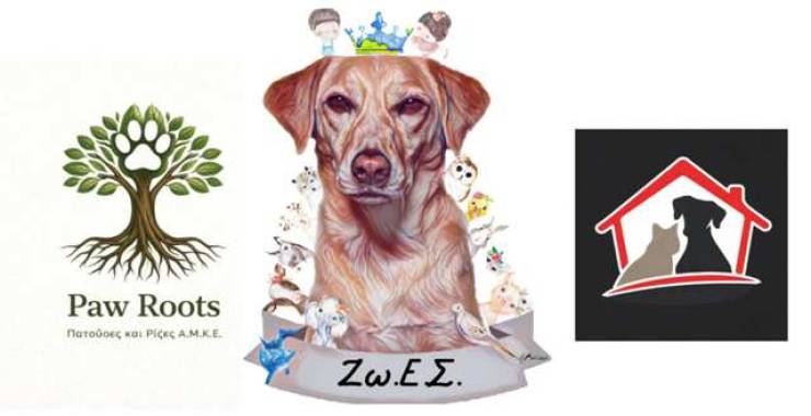 &Eta; &Alpha;.&Mu;.&Kappa;.&Epsilon;. &Zeta;&omega;.&Epsilon;.&Sigma;. &sigma;&tau;&eta;&rho;ί&zeta;&omicron;&upsilon;&nu; &kappa;&alpha;&iota; &sigma;&upsilon;&mu;&pi;&omicron;&rho;&epsilon;ύ&omicron;&nu;&tau;&alpha;&iota; &mu;&epsilon; &tau;&omicron;&upsilon;&sigmaf; &nu;έ&omicron;&upsilon;&sigmaf; &phi;&iota;&lambda;&omicron;&zeta;&omega;&iota;&kappa;&omicron;ύ&sigmaf; &phi;&omicron;&rho;&epsilon;ί&sigmaf; A Casa D&rsquo; Irene &kappa;&alpha;&iota; Paw &amp; Roots &sigma;&tau;&eta;&nu; &Alpha;&lambda;&epsilon;&xi;ά&nu;&delta;&rho;&epsilon;&iota;&alpha;