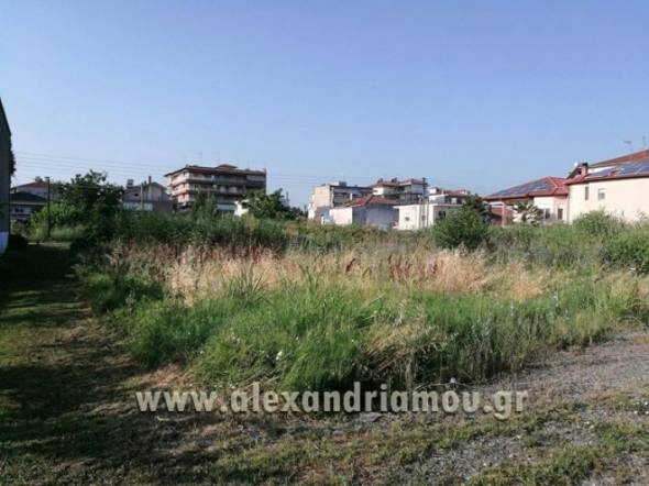 &Delta;&Eta;&Mu;&Omicron;&Sigma; &Alpha;&Lambda;&Epsilon;&Xi;&Alpha;&Nu;&Delta;&Rho;&Epsilon;&Iota;&Alpha;&Sigma;: &Epsilon;&nu;&eta;&mu;έ&rho;&omega;&sigma;&eta; &gamma;&iota;&alpha; &tau;&omicron;&nu; &upsilon;&pi;&omicron;&chi;&rho;&epsilon;&omega;&tau;&iota;&kappa;ό &kappa;&alpha;&theta;&alpha;&rho;&iota;&sigma;&mu;ό &tau;&omega;&nu; &Omicron;&iota;&kappa;&omicron;&pi;&epsilon;&delta;&iota;&kappa;ώ&nu; &kappa;&alpha;&iota; &lambda;&omicron;&iota;&pi;ώ&nu; &Alpha;&kappa;ά&lambda;&upsilon;&pi;&tau;&omega;&nu; &chi;ώ&rho;&omega;&nu;