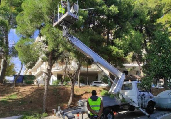 Εργασίες κοπής δέντρων στην Αλεξάνδρεια το Σάββατο 16 Ιουλίου – Κυκλοφοριακές ρυθμίσεις από την Αστυνομική Διεύθυνση Ημαθίας