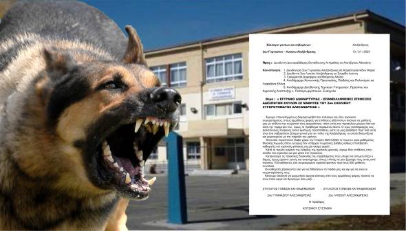 Νέα επίθεση σκύλου σε μαθητή στο 2ο Γυμνάσιο-Λύκειο Αλεξάνδρειας - Έγγραφο Διαμαρτυρίας από τους γονείς