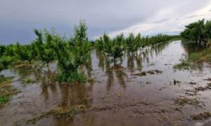 Oλική καταστροφή από τη νεροποντή στις καλλιέργειες στην Πέλλα - Πλημμύρισαν δρόμοι