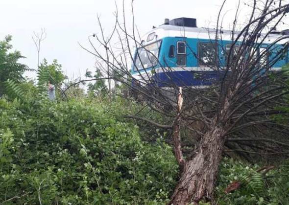 Έπεσε δέντρο σε ράγες κοντά στο Άδενδρο – Καθυστερήσεις σε δρομολόγια της ΤΡΑΙΝΟΣΕ