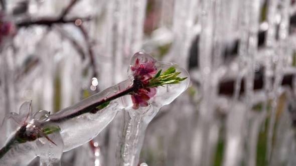 &Sigma;&tau;&omicron;&upsilon;&sigmaf; -5 &beta;&alpha;&theta;&mu;&omicron;ύ&sigmaf; &Kappa;&epsilon;&lambda;&sigma;ί&omicron;&upsilon; &eta; &theta;&epsilon;&rho;&mu;&omicron;&kappa;&rho;&alpha;&sigma;ί&alpha; &sigma;&epsilon; &pi;&epsilon;&rho;&iota;&omicron;&chi;έ&sigmaf; &tau;&eta;&sigmaf; &Mu;&alpha;&kappa;&epsilon;&delta;&omicron;&nu;ί&alpha;&sigmaf; &tau;&iota;&sigmaf; &pi;&rho;&omega;&iota;&nu;έ&sigmaf; ώ&rho;&epsilon;&sigmaf; - &Pi;&omicron;&upsilon; &chi;&rho;&epsilon;&iota;ά&zeta;&epsilon;&tau;&alpha;&iota; &alpha;&nu;&tau;&iota;&omicron;&lambda;&iota;&sigma;&theta;&eta;&tau;&iota;&kappa;έ&sigmaf; &alpha;&lambda;&upsilon;&sigma;ί&delta;&epsilon;&sigmaf;
