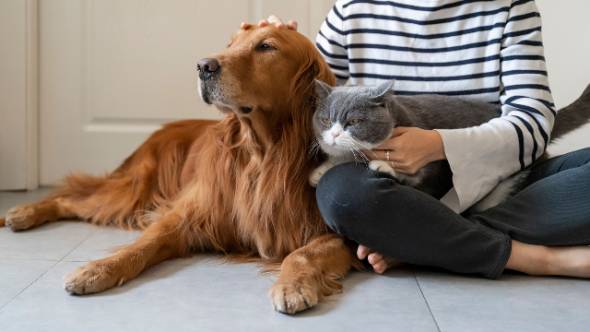 &Epsilon;&theta;&nu;&iota;&kappa;ό &Mu;&eta;&tau;&rho;ώ&omicron; &Zeta;ώ&omega;&nu; &Sigma;&upsilon;&nu;&tau;&rho;&omicron;&phi;&iota;ά&sigmaf;: &Sigma;&epsilon; &lambda;&epsilon;&iota;&tau;&omicron;&upsilon;&rho;&gamma;ί&alpha; &eta; &pi;&lambda;&alpha;&tau;&phi;ό&rho;&mu;&alpha; pet.gov.gr