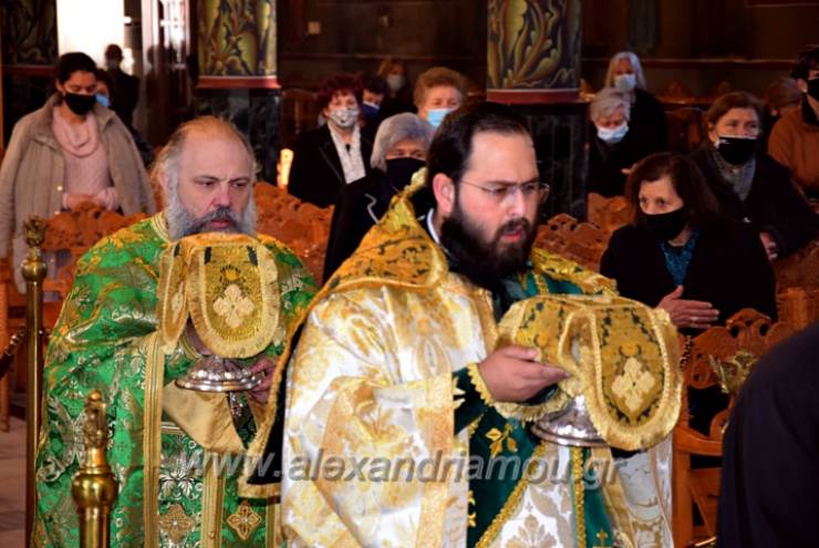 Η Κυριακή των Βαΐων στην Παναγία Αλεξάνδρειας