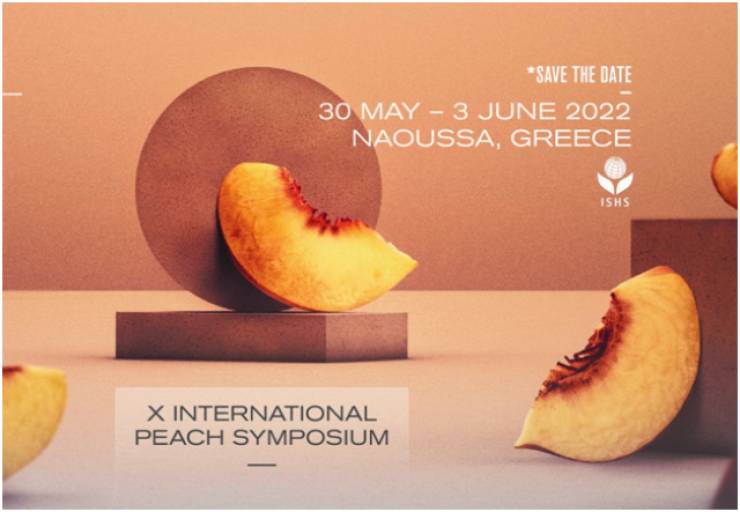 Στη Νάουσα το 10ο Διεθνές Συνέδριο Ροδακινιάς (30 Μαΐου - 3 Ιουνίου)