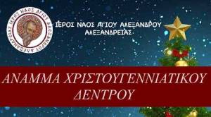 Ι.Ν. Αγίου Αλεξάνδρου Αλεξανδρείας: Άναμμα Χριστουγεννιάτικου Δέντρου παρουσία του Μητροπολίτου μας