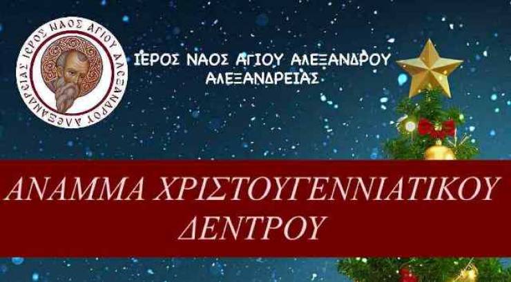Ι.Ν. Αγίου Αλεξάνδρου Αλεξανδρείας: Άναμμα Χριστουγεννιάτικου Δέντρου παρουσία του Μητροπολίτου μας